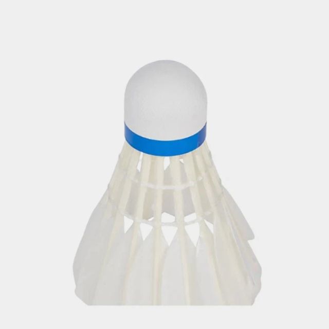 Protouch Sp 900 Shuttlecock