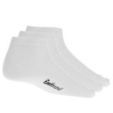 Eastbound Avellino 3pack