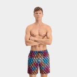 Puma Swim Formstrip Mid 1p