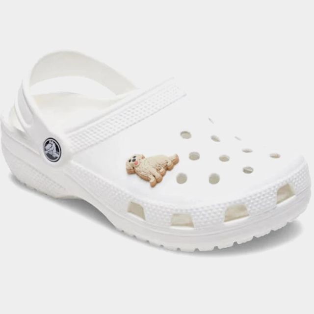 Crocs Jibbitz Golden Retriever Puppy