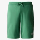 The North Face Graphic Light Eu