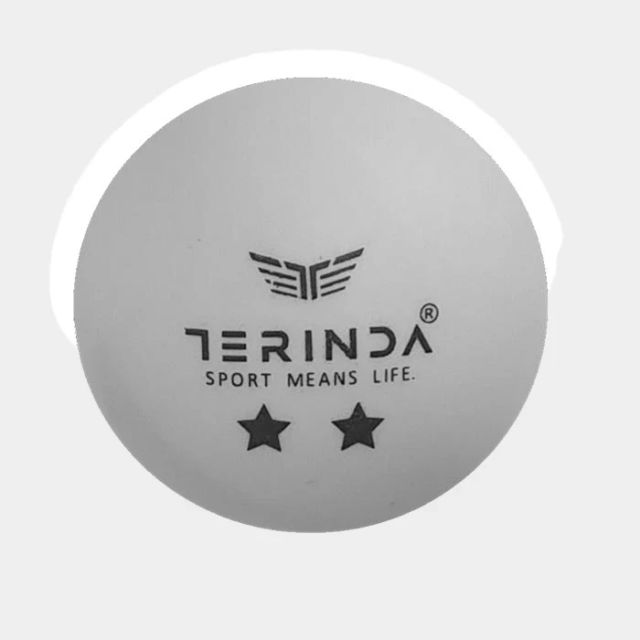 Terinda Table Tennis Ball Two Star 6 1
