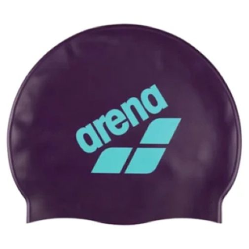 Arena Big Logo
