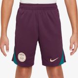 Nike Paris Saint Germain