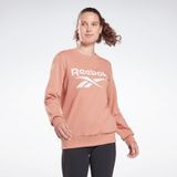 Reebok Ri Bl French Terry