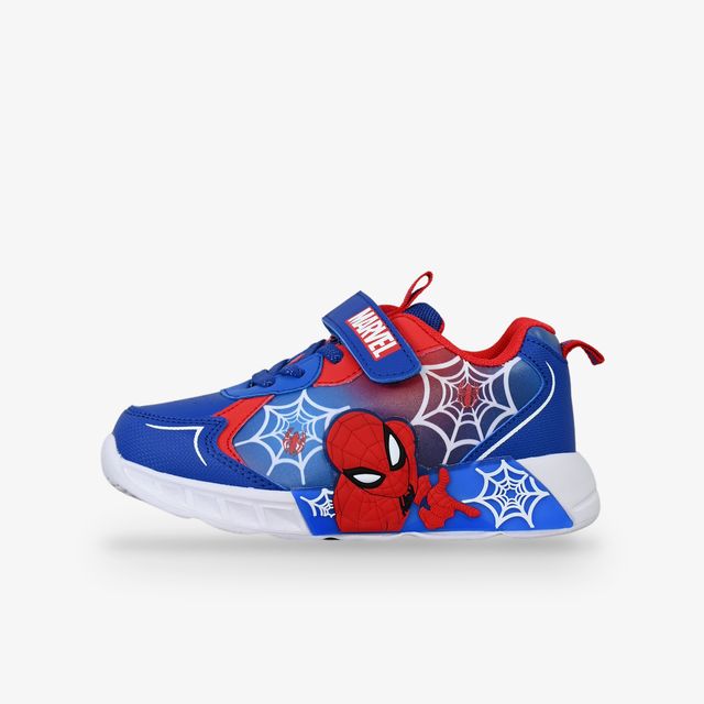BDS Spiderman