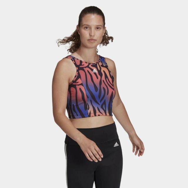 adidas Anml Crop