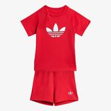 adidas I Trefoil