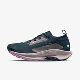 Nike Pegasus Trail 5 GTX