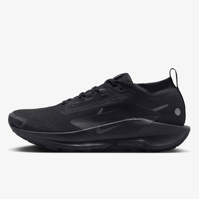 Nike Pegasus Trail 5 Gore Tex