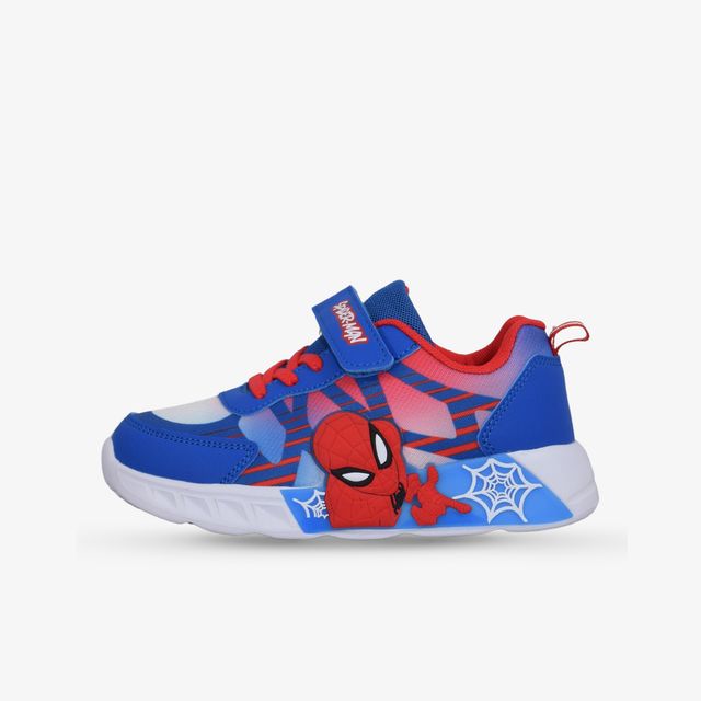 BDS Spiderman