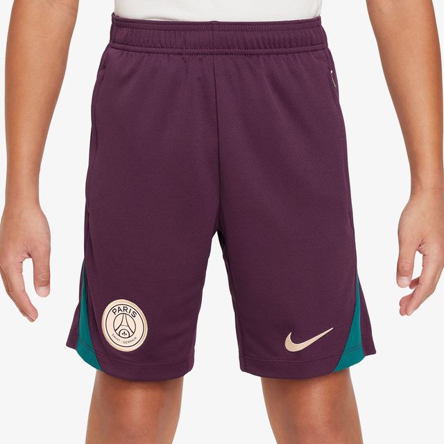 Nike Paris Saint Germain