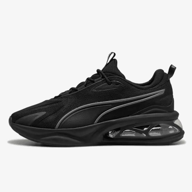 Puma Solar