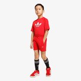 adidas I Trefoil