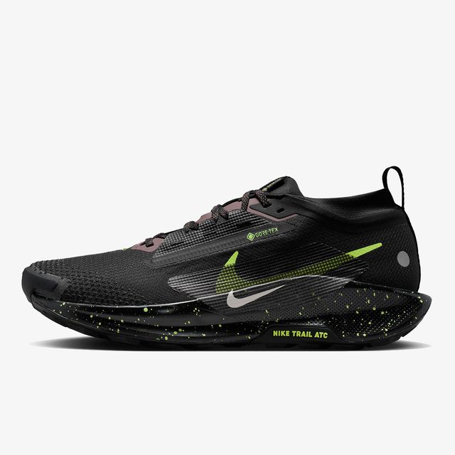 Nike Pegasus Trail 5 Gore Tex