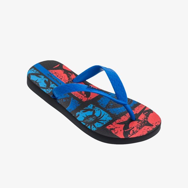 Ipanema Temas Xiii