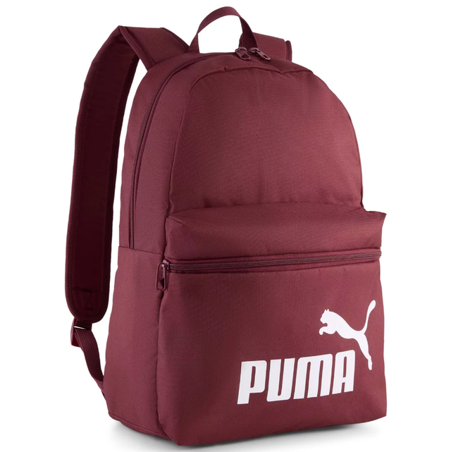 Puma Phase