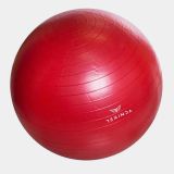 Terinda Yoga Ball BALA