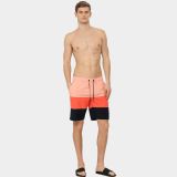 4f Men S Shorts