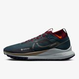Nike React Pegasus Trail 4 Gtx V2