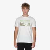 Puma Graphics Mountain