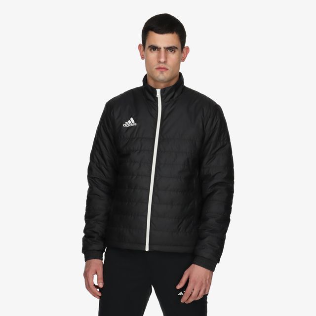 adidas Entrada 22