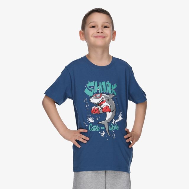 Cocomo Shark