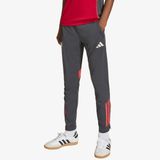 adidas Liverpool FC Tiro 25 Competition