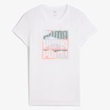 Puma Graphics