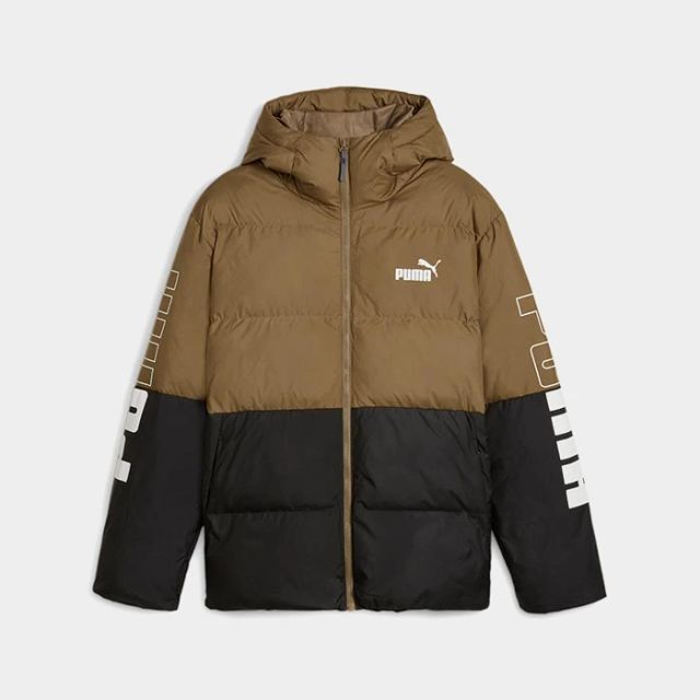 Puma Power