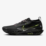 Nike Pegasus Trail 5 Gore Tex