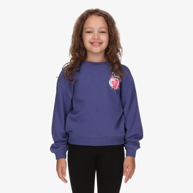 Champion Sweatshirt