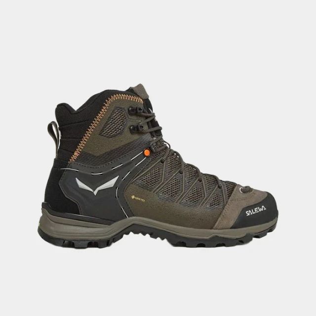 Salewa Mtn L Mid Gtx Bl