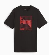 Puma Graphics Puma Box