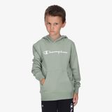 Champion Sweatshirt
