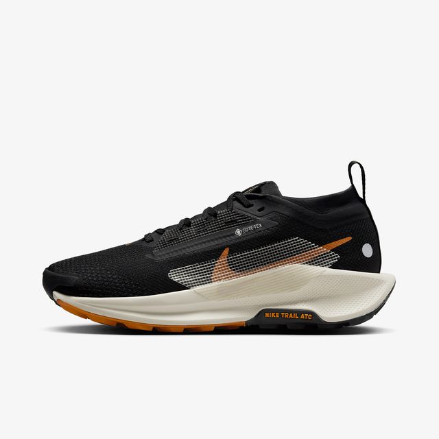 Nike Pegasus Trail 5 Gtx