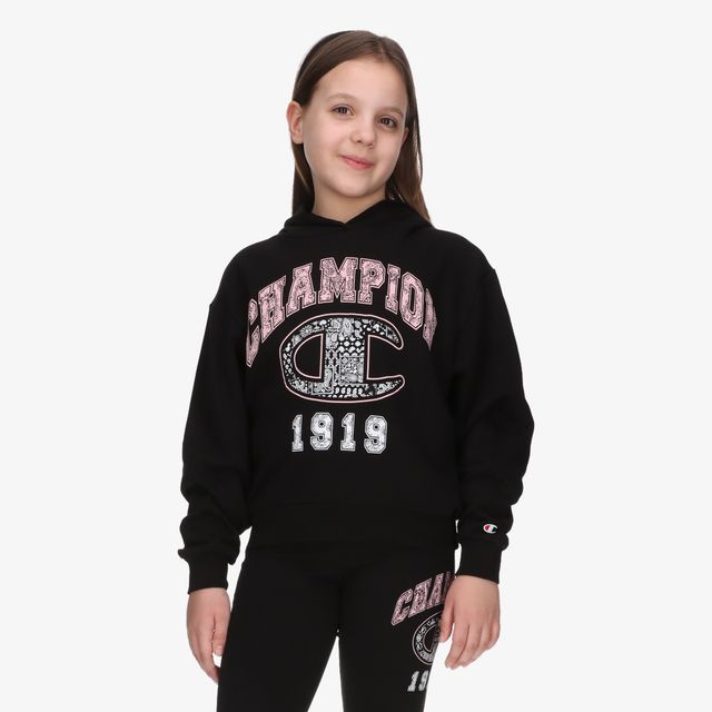 Champion Hooded Sweatshirt