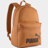 Puma Phase
