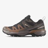 Salomon X Ultra 360 Gtx