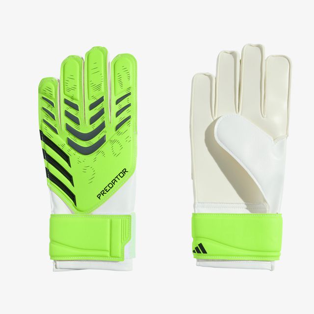adidas Predator