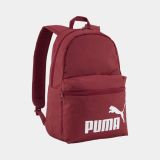 Puma Phase Iii