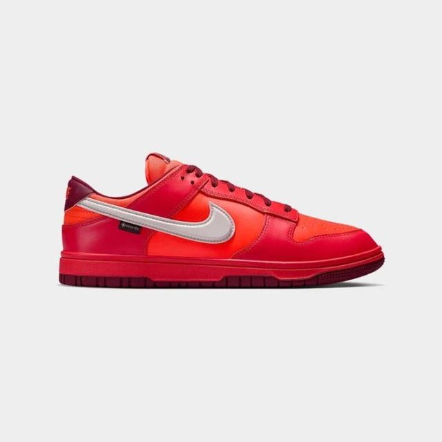 Nike Dunk Low Gtx