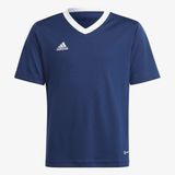 adidas Entrada 22