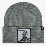 сива
