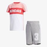 adidas Graphic