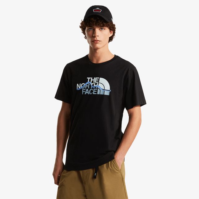 The North Face Mountain Line Regular Sleeve