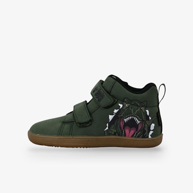 BDS Dinosaur